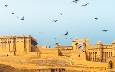 Amer Fort Rajasthan tour packages