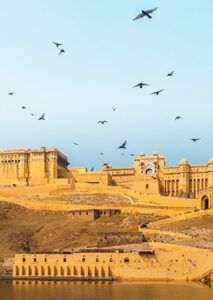 Amer fort with birds in image
